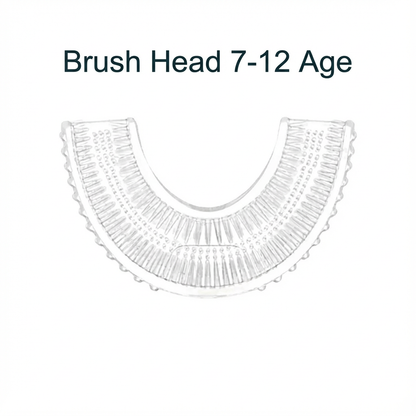 BrushNest™ Brush Head